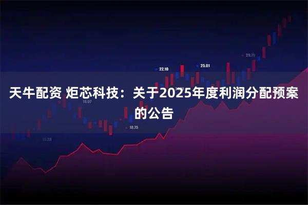 天牛配资 炬芯科技：关于2025年度利润分配预案的公告